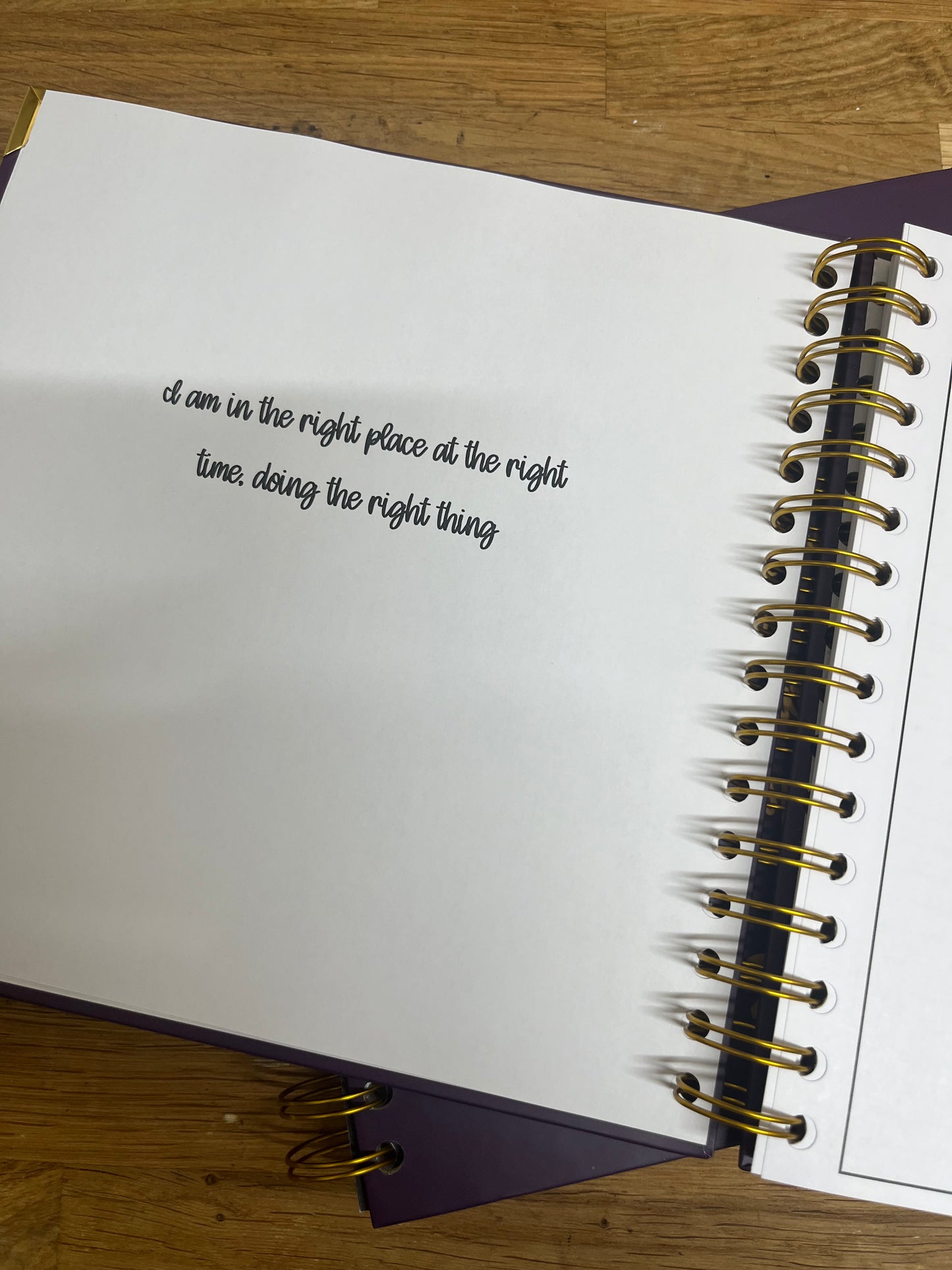 2025 Diary